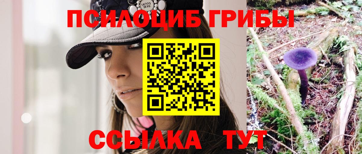 Псилоцибиновые грибы Cubensis Киров